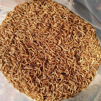 Was sind die Eigenschaften von getrockneten Grillen für Vögel zu essen?