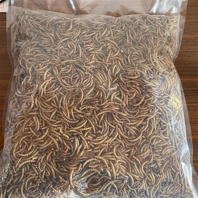 Was sind die Anwendungen von getrockneten Grillen für Vögel?