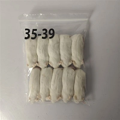 Frozen Rats for Veterinary Hospitals and Animal Nutrition Research Frozen Rats for Veterinary Hospitals and Animal Nutrition Research