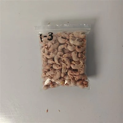 Gefrorene Pinkie -Ratten