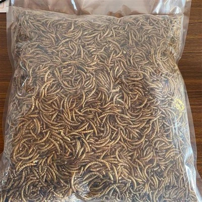 Bio -getrocknete Mahlzeitenwürmer