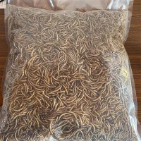 Bio -getrocknete Mahlzeitenwürmer